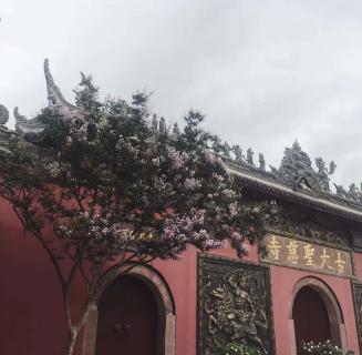 高德娱乐：助力公益活动建设，实现经济效益与社会效益的双赢！